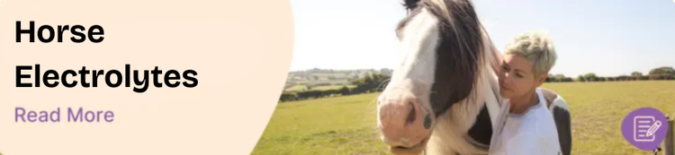 Horse electrolytes