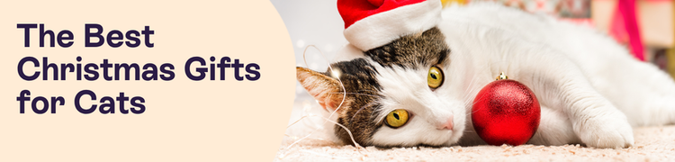 Rebrand Blog headers Jan 25 - 2