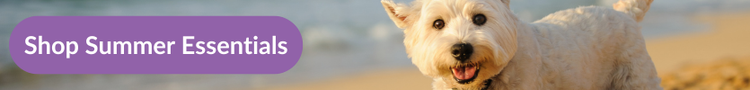 A west highlad white terrier happily running on a beach with overlay text that reads &#34;Shop Summer Essentials&#34;