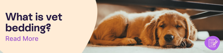 Vet Bedding: What It Is, What It’s Used For and How to Choose the Right One