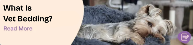 Vet Bedding: What It Is, What It’s Used For and How to Choose the Right One
