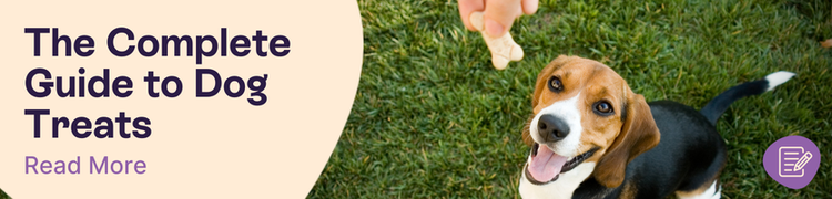 Dog Treats Guide Header