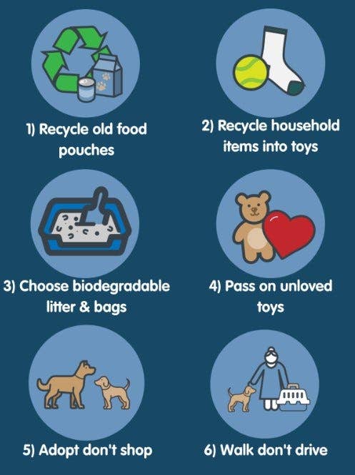 An infographic detailing the six ways pet owners can be more sustainable.