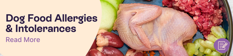Dog Food Allergies