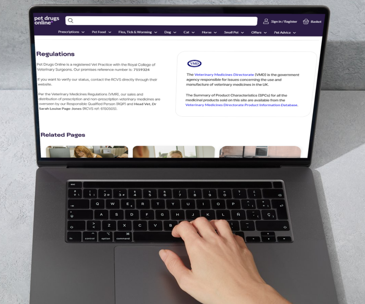 Someone with their laptop open to display the Compliance Team at Pet Drugs Online