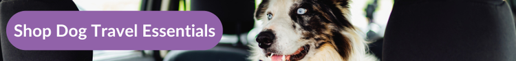 A tri-coloured collie with bright blue eyes in the back seat of a car with overlay text that reads &#34;Shop Dog Travel Essentials&#34;