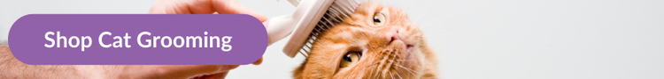 A long-hair ginger cat being brushed on the head with overlay text that reads &#34;Shop All Cat Grooming&#34;