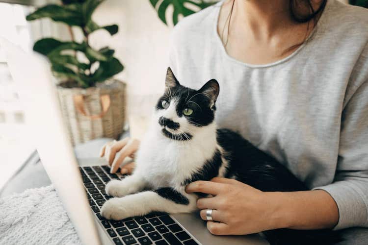 A female owner shopping on her laptop while her black and white cat lies across the keyboard