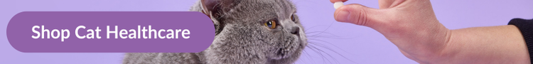 A British Shorthair cat being offered a tablet with overlay text that reads &#34;Shop Cat healthcare&#34;
