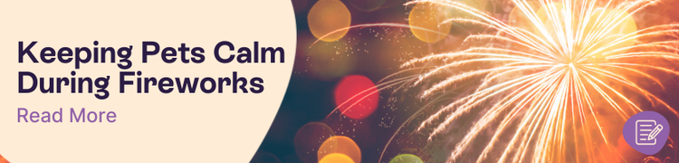 How to Keep Pets Calm During Fireworks Header
