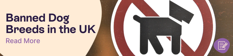 What Dogs Are Banned in the UK Header