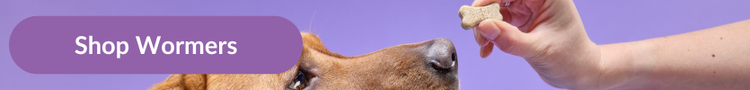 A fox red labrador being offered a Drontal Tasty Bone worming treatment with overlay text that reads &#34;Shop Wormers&#34;
