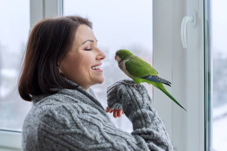 A female owner in a grey cardigan smiling at her pet parakeet perched on her forearm.