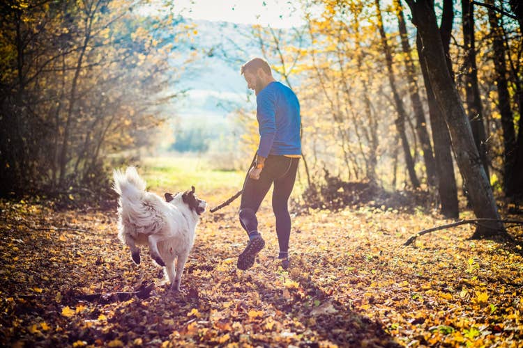 A male owner wearing a blue sweater taking his excited white and black fluffy dog for a walk in the woodlands.