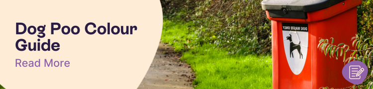 Dog poo colour chart