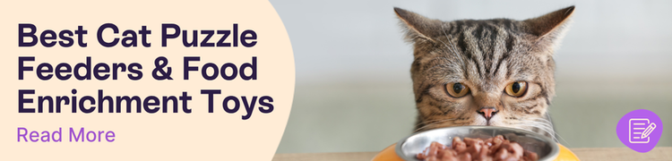 tortoise shell cat looking at cat food in yellow bowl