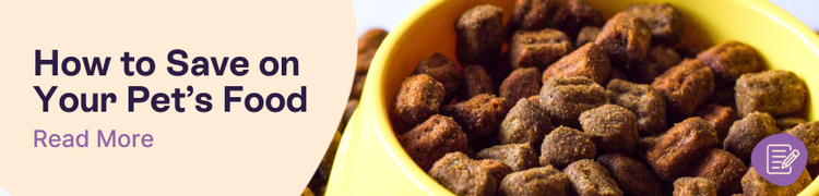 How to Save on Your Pet's Food Header Image