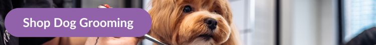 A red Cavapoo having a routine trim at the dog groomers with overlay text that reads: &#34;Shop Dog Grooming&#34;