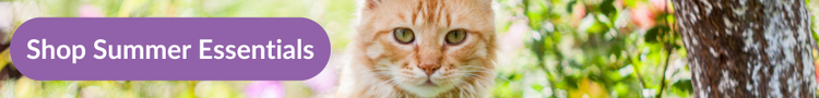 A ginger a white long haired cat explroing the flowers in a garden with overlay text that reads "shop summer essentials"