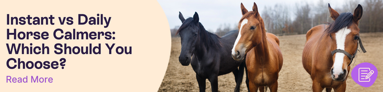 three horses black and brown in colour standing in field