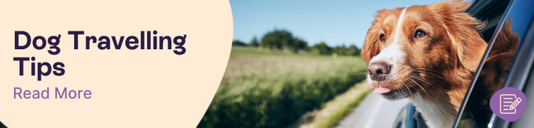 Traveling with Dogs header