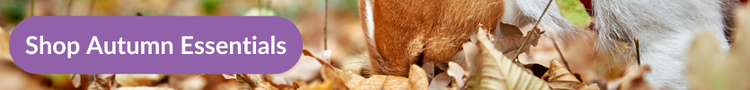 Shop Autum Essentials at Pet Drugs Online | Light dog collars, cat calmers, and more!