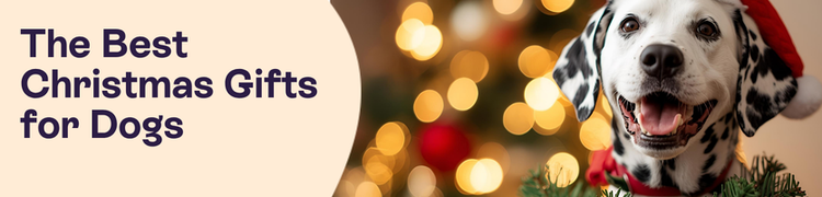 Rebrand Blog headers Jan 25 - 2