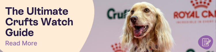 The Ultimate Crufts 2025 Guide