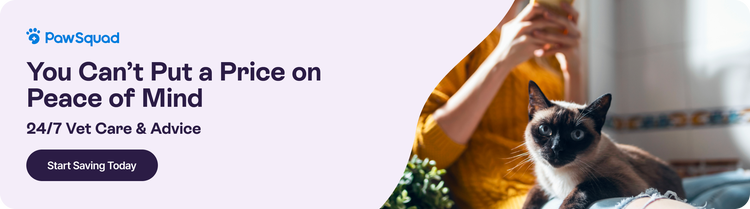 You can&#39;t put a price on peace of mind - 24/7 vet car &amp; advice