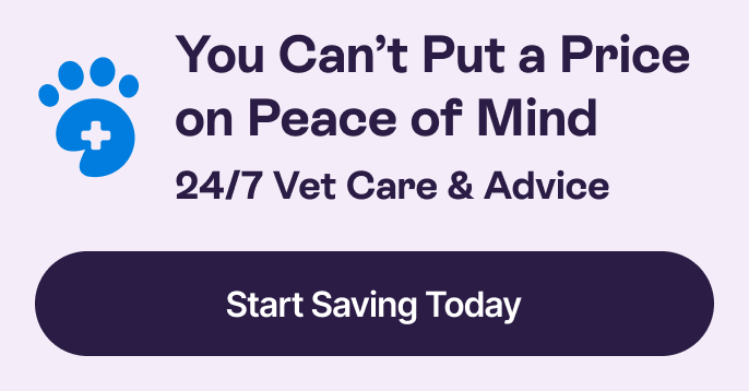 You can&#39;t put a price on peace of mind - 24/7 Vet Care &amp; Advice - Start Saving Today