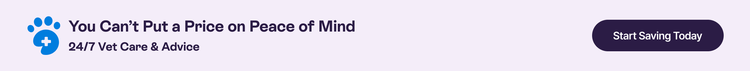 You can&#39;t put a price on peace of mind - 24/7 Vet Care &amp; Advice - Start Saving Today